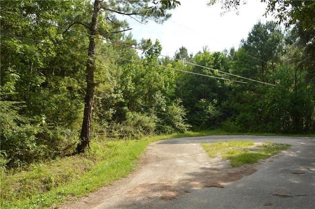 Will Rd, Abita Springs, LA 70420 - photo 3