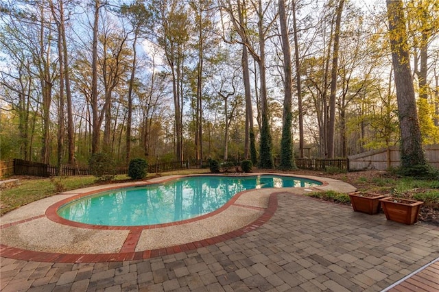 view of swimming pool featuring a patio