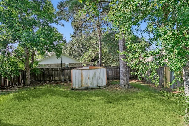 view of yard with a storage shed