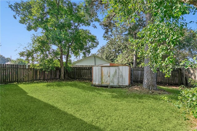 view of yard featuring a shed