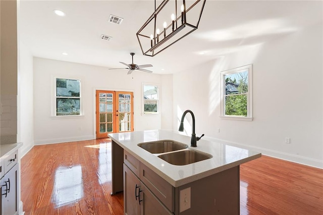 kitchen with a wealth of natural light, light hardwood / wood-style floors, sink, and a kitchen island with sink