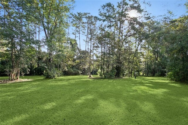 21046 Smith Rd, Covington, LA 70435 - photo 28