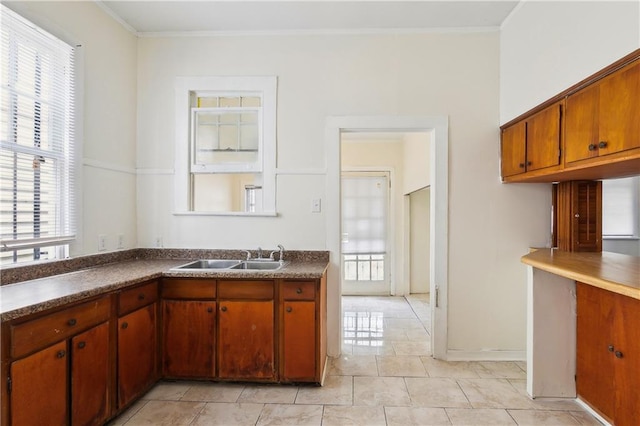 kitchen featuring crown molding and sink