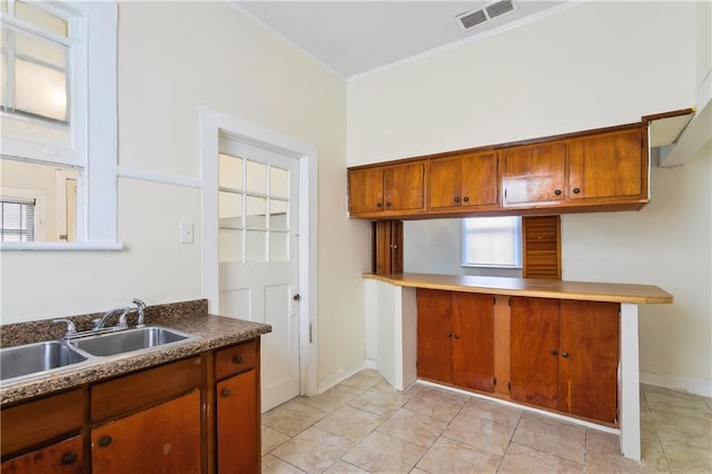 kitchen featuring a healthy amount of sunlight, crown molding, and sink