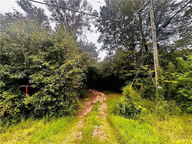 Listing photo 3 for PARCEL1 16th Hwy, Franklinton LA 70438