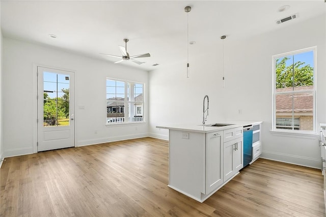 kitchen with white cabinets, ceiling fan, a wealth of natural light, and sink