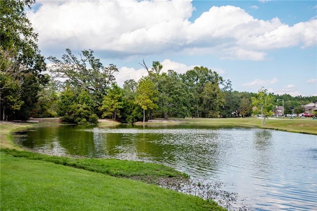 view of water feature