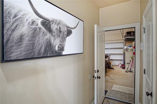 view of bathroom