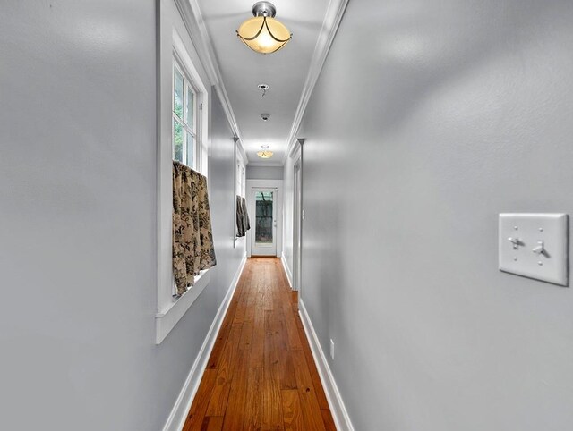 hallway featuring wood-type flooring and ornamental molding