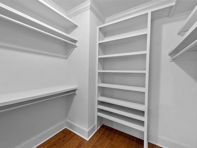 spacious closet featuring dark wood-type flooring