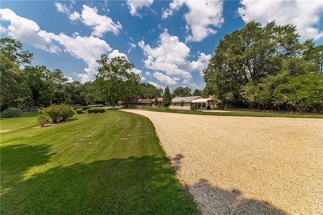 view of property's community with a yard