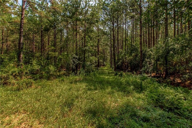 1601 Sunset Dr, Bogalusa, LA 70427 - photo 53