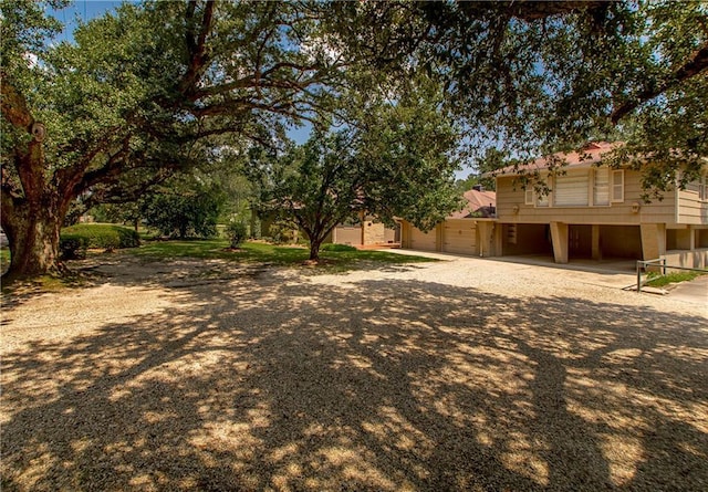 view of yard featuring driveway