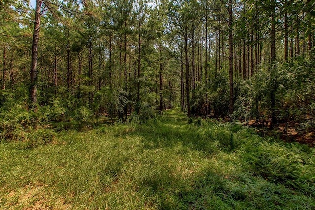 view of landscape with a forest view