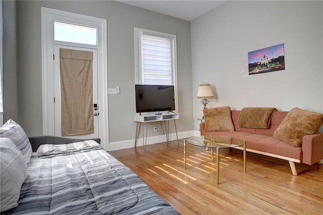 living room with wood-type flooring