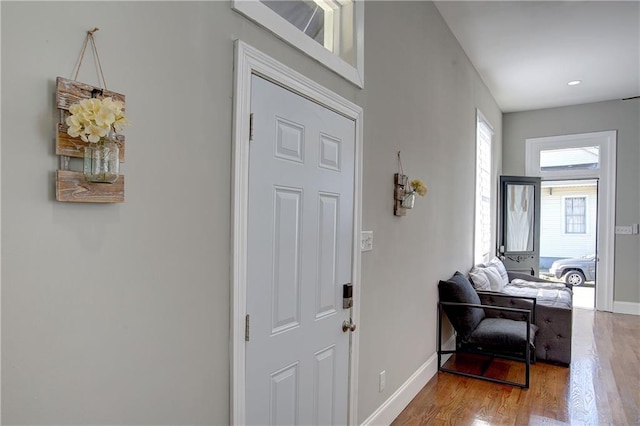 foyer entrance with wood-type flooring