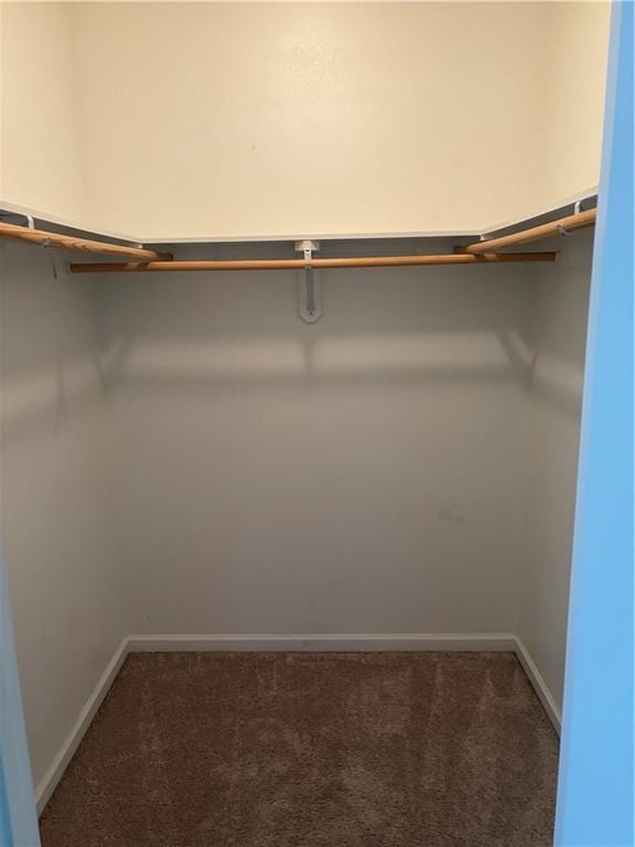 spacious closet with carpet flooring