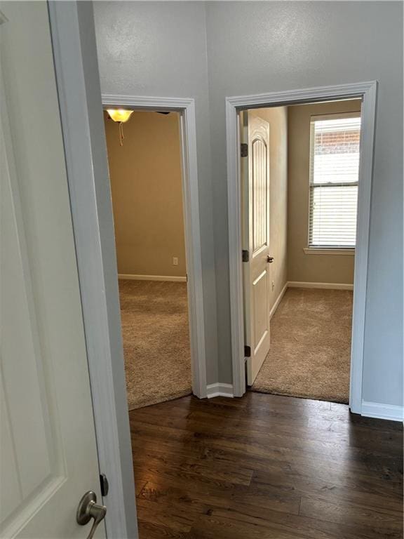 hall featuring dark hardwood / wood-style floors