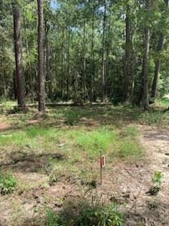 LOT29 Cypress St, Lacombe LA, 70445 land for sale