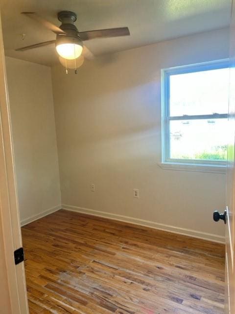 empty room with ceiling fan and light hardwood / wood-style flooring