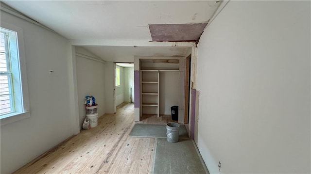 interior space featuring light hardwood / wood-style floors