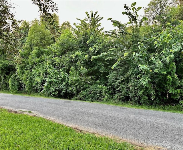 LOT4 Magnolia St, Lafitte LA, 70067 land for sale