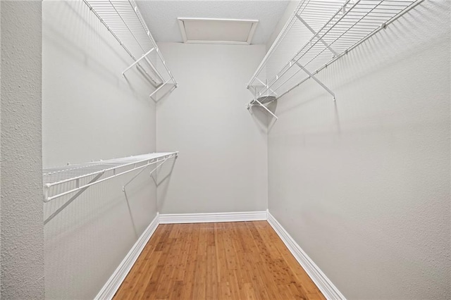 spacious closet featuring hardwood / wood-style floors