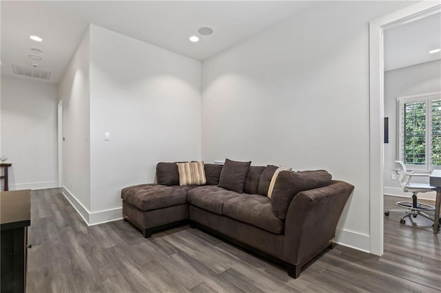 living room featuring wood-type flooring