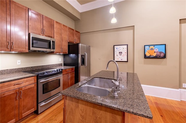 kitchen with light wood finished floors, an island with sink, ornamental molding, stainless steel appliances, and a sink