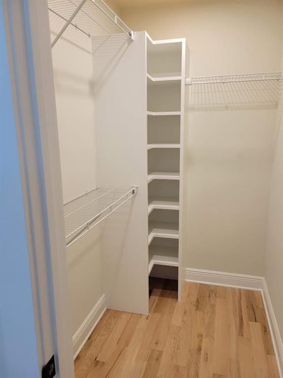 walk in closet featuring wood finished floors