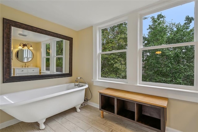 bathroom featuring wood-type flooring, plenty of natural light, and a washtub