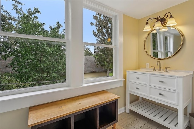 interior space with vanity, hardwood / wood-style floors, and a healthy amount of sunlight