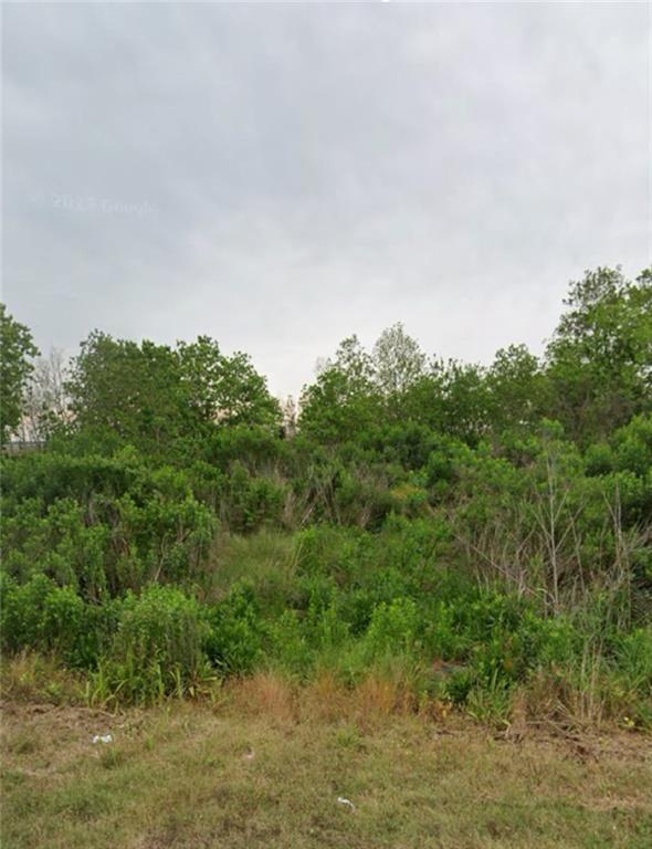 2509 Delacroix Hwy, Saint Bernard, LA 70085 - photo 3