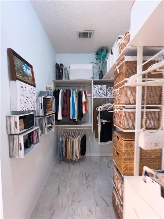 view of walk in closet