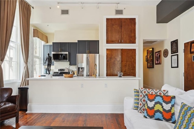 kitchen with sink, appliances with stainless steel finishes, dark hardwood / wood-style flooring, and track lighting