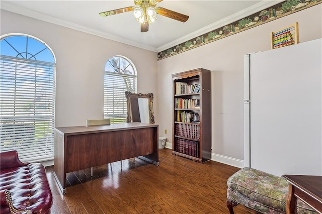 home office with ceiling fan, ornamental molding, and dark hardwood / wood-style flooring