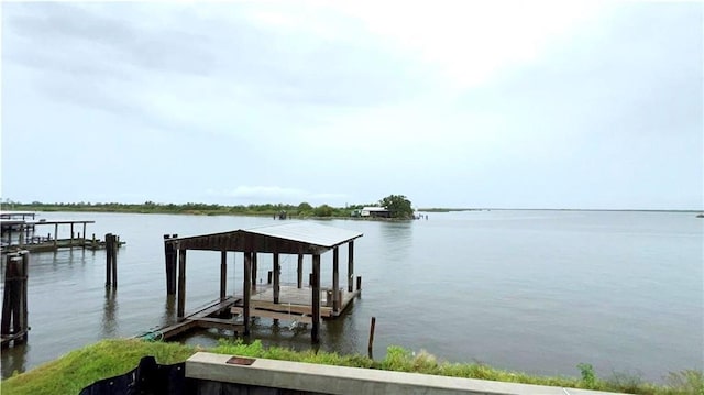 dock area with a water view