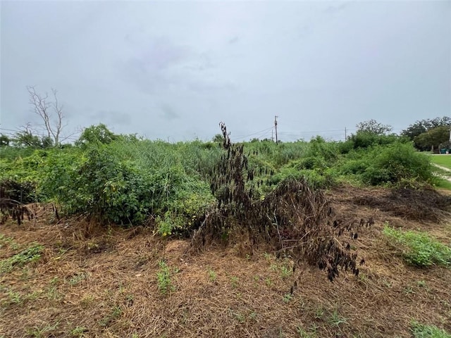 view of nature featuring a rural view