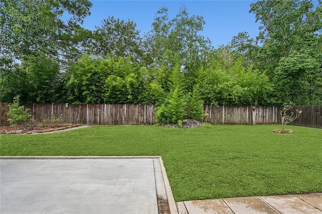 view of yard with a patio area