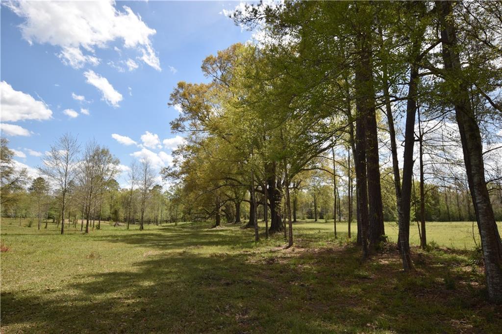 00 Ebb Guillot Rd, Pearl River, LA 70452