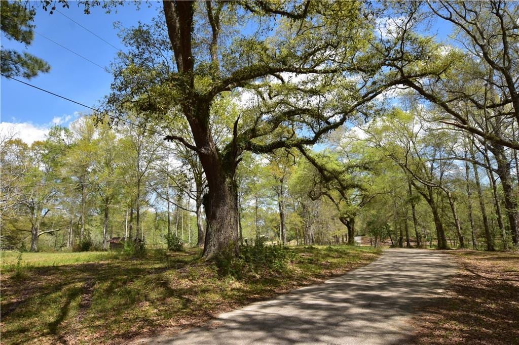 00 Ebb Guillot Rd, Pearl River, LA 70452 - photo 1