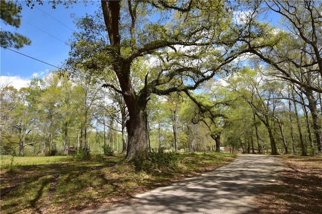 00 Ebb Guillot Rd, Pearl River, LA 70452 - photo 1