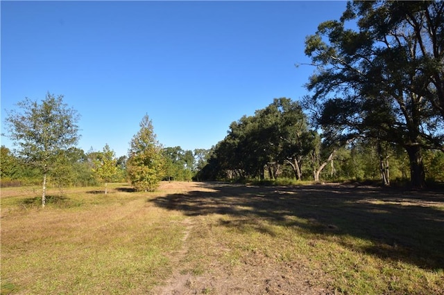 Listing photo 2 for 00 Ebb Guillot Rd, Pearl River LA 70452