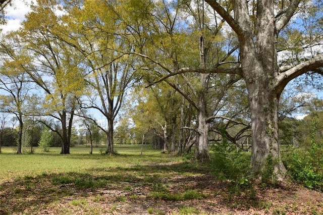 00 Ebb Guillot Rd, Pearl River, LA 70452 - photo 2