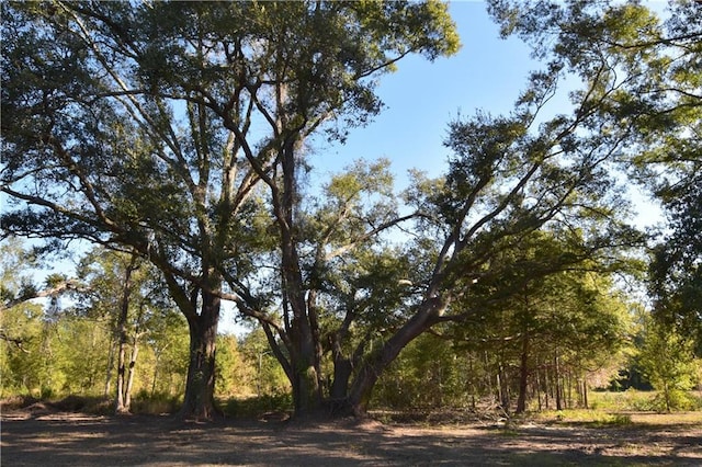 00 Ebb Guillot Rd, Pearl River, LA 70452 - photo 4