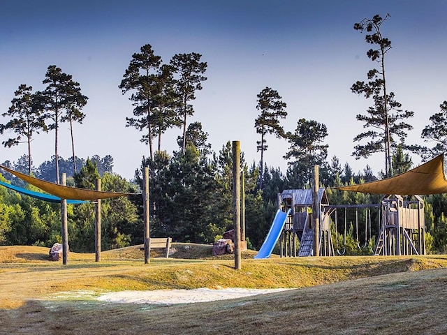 view of jungle gym