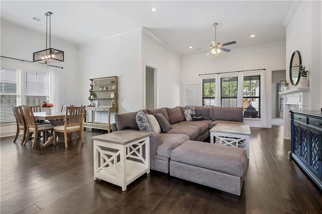 living room featuring crown molding, ceiling fan with notable chandelier, and dark hardwood / wood-style flooring