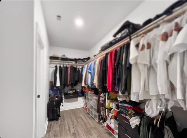 walk in closet with wood-type flooring