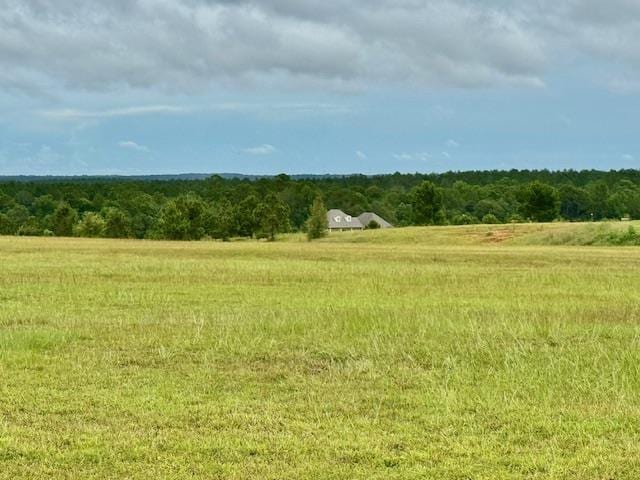 view of local wilderness featuring a rural view