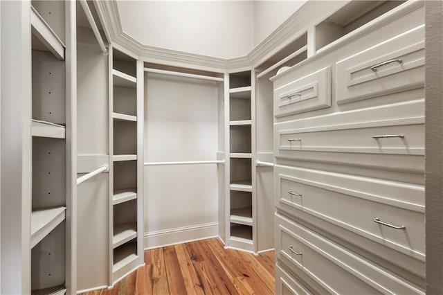 walk in closet with light wood-type flooring